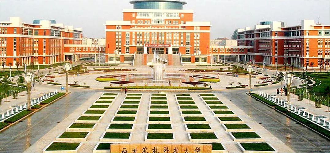 202004140540.jpg